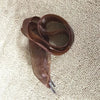 lacets-satin-transparent-marron